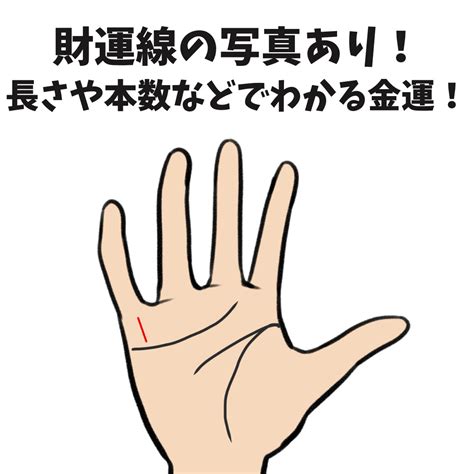 財運線|手相でお金との縁がまるわかり？ 財運線の見方をプロの占い師。